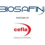 Partner 13 Partner 13